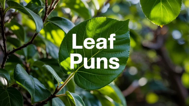 Funny Leaf Puns and Jokes