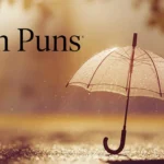 Rain Puns