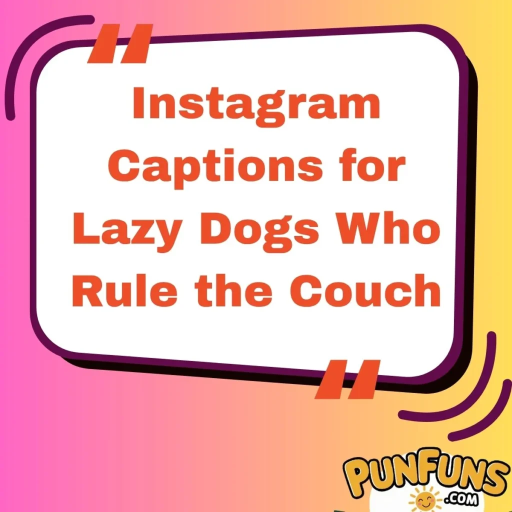 Instagram Captions for Lazy Dogs Who Rule the Couch