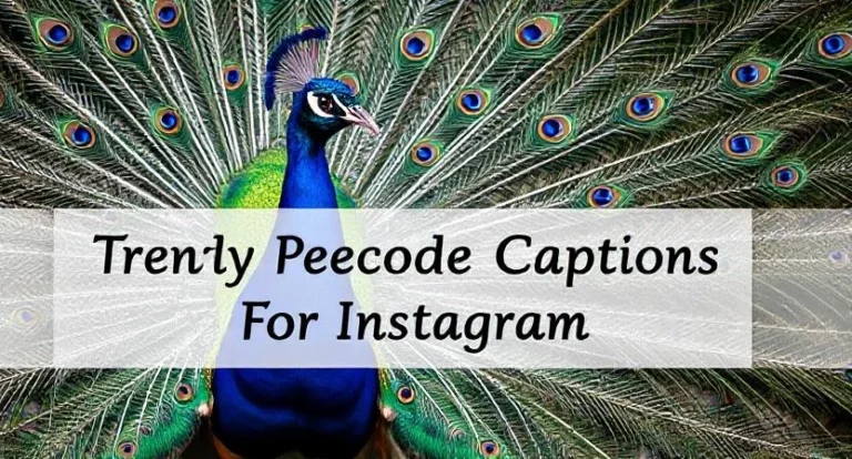 Trendy Peacock Captions For Instagram